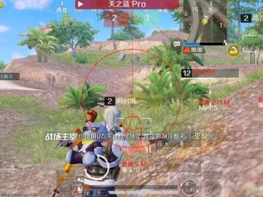 和平精英ios科技 - 苹果端稳定外挂工具
